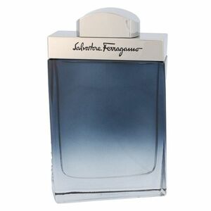 SALVATORE FERRAGAMO Subtil toaletní voda 100 ml obraz