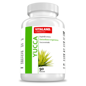 VITALAND Yucca 90 tobolek obraz