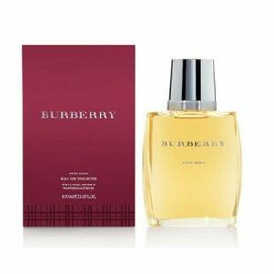 Burberry for Man Toaletní voda 100ml obraz