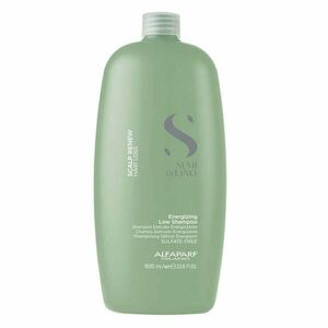 Alfaparf Milano Posilující šampon proti vypadávání vlasů Scalp Renew (Energizing Low Shampoo) 1000 ml obraz