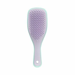 Tangle Teezer Kartáč na vlasy Ultimate Detangler Mini Wystera Leaf obraz