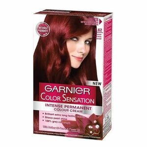 Garnier Přírodní šetrná barva Color Sensation 4.12 Diamantová hnědá obraz