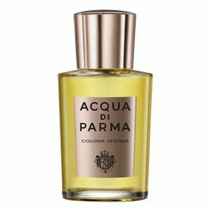 Acqua Di Parma Colonia Intensa - EDC 100 ml obraz