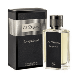 S.T. Dupont Exceptional - EDP 100 ml obraz