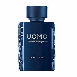 Salvatore Ferragamo Uomo Salvatore Ferragamo Urban Feel - EDT 30 ml obraz