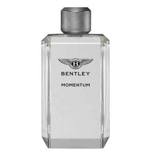 Bentley Momentum - EDT TESTER 100 ml obraz