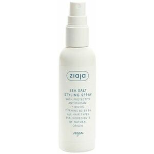 Ziaja Stylingový sprej na vlasy Sea Salt (Styling Spray) 90 ml obraz