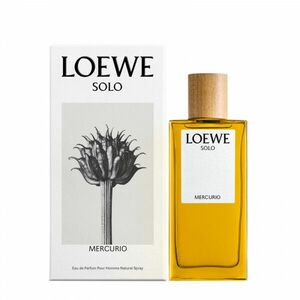 Loewe Solo Loewe Mercurio - EDP 100 ml obraz