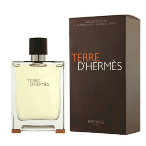 Hermes Terre D´ Hermes - EDT 50 ml obraz