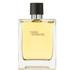 Hermes Terre D´ Hermes - P - TESTER 75 ml obraz