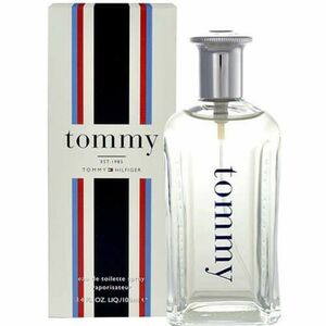 Tommy Hilfiger Tommy EdT 100 ml obraz