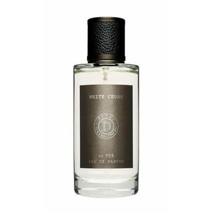 Depot 905 White Cedar parfémovaná voda 100 ml obraz