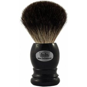 Hans Baier Black Pure Badger obraz