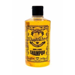 Dapper Dan sprchový gel a šampon 2v1 300 ml obraz