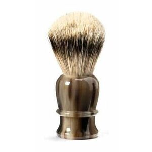 Thiers Issard Blond Horn Super Badger obraz