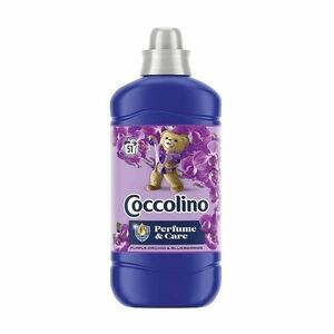 Coccolino Purple Orchid aviváž 1275 51PD obraz