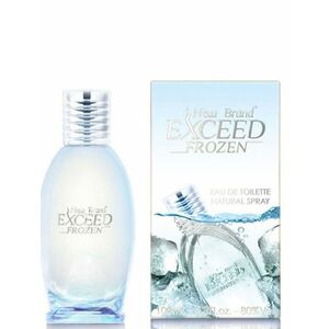 New Brand - Exceed Frozen for men 100ml obraz