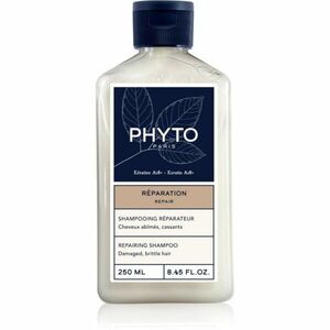 Phyto Repair Repairing shampoo obnovující šampon pro poškozené vlasy 250 ml obraz