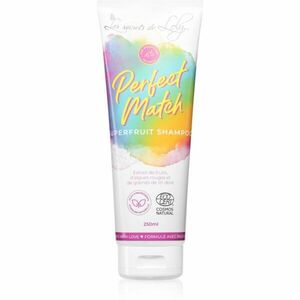 Les Secrets De Loly Perfect Match šampon pro jemné vlasy 250 ml obraz