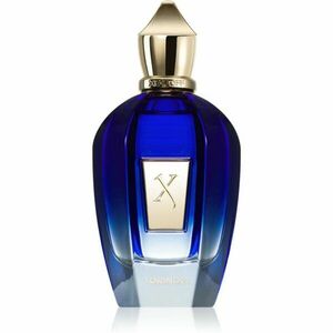 Xerjoff Torino21 parfémovaná voda unisex 100 ml obraz