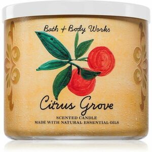 Bath & Body Works Citrus Grove vonná svíčka 411 g obraz