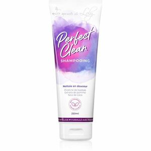 Les Secrets De Loly Perfect Clean šampon pro vlnité a kudrnaté vlasy 250 ml obraz