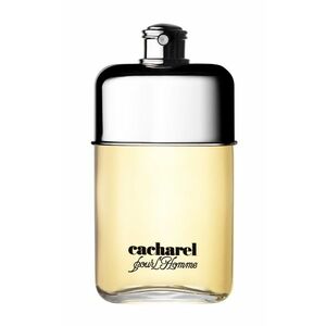 Cacharel Pour L'Homme toaletní voda pro muže 100 ml obraz