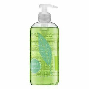 Elizabeth Arden Green Tea sprchový gel pro ženy 500 ml obraz