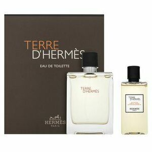 Hermès Terre d’Hermès toaletní voda pro muže 100 ml obraz