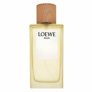 Loewe Agua de Loewe toaletní voda unisex 150 ml obraz