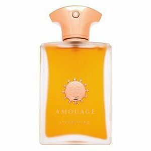 Amouage Overture parfémovaná voda pro muže 100 ml obraz