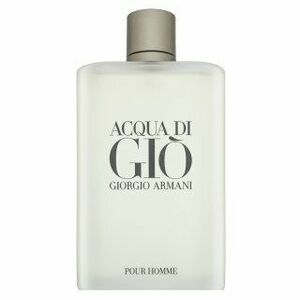 Armani (Giorgio Armani) Acqua di Gio Pour Homme toaletní voda pro muže 300 ml obraz