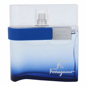 Salvatore Ferragamo F by Ferragamo Free Time Toaletní voda 100ml obraz