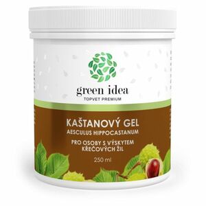 TOPVET Kaštanový gel 250 ml obraz