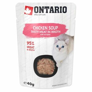 ONTARIO Polévka kuřecí 40 g obraz