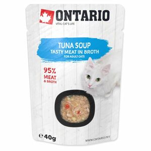 ONTARIO Polévka tuňák 40 g obraz