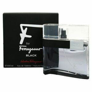 SALVATORE FERRAGAMO F by Black Toaletní voda pro muže 100 ml obraz