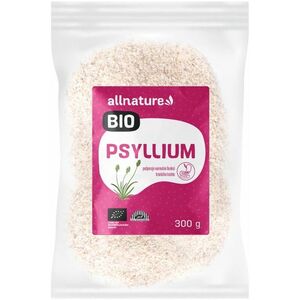 Psyllium BIO 300 g obraz