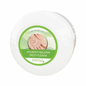 HillVital Houbový balzám 60 ml obraz