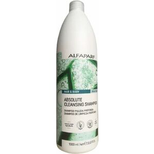 Alfaparf Milano Čisticí šampon Hair & Body Absolute (Cleansing Shampoo) 1000 ml obraz