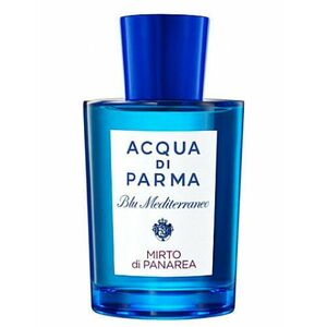 ACQUA DI PARMA - Ambra - Parfemová voda obraz