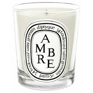 Diptyque Ambre - svíčka 190 g obraz