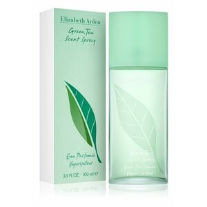 Elizabeth Arden Green Tea - EDP 100 ml obraz