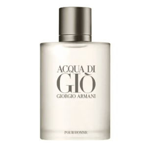 Giorgio Armani Acqua Di Gio Pour Homme - EDT 100 ml obraz