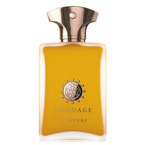 Amouage Overture Man - EDP 100 ml obraz