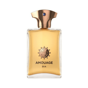 Amouage Dia Pour Homme - EDP 100 ml obraz