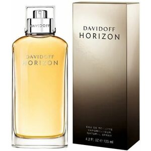 Davidoff Horizon - EDT 125 ml obraz