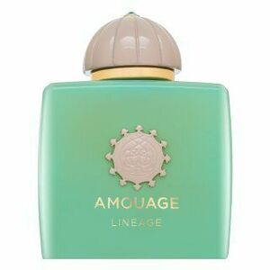 Amouage Lineage parfémovaná voda pro muže 100 ml obraz