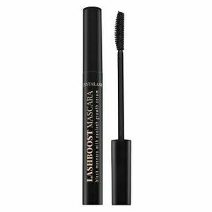 InstaLash LashBoost Mascara řasenka pro růst řas Black 10 ml obraz