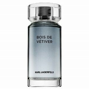 Lagerfeld Bois de Vétiver toaletní voda pro muže 100 ml obraz